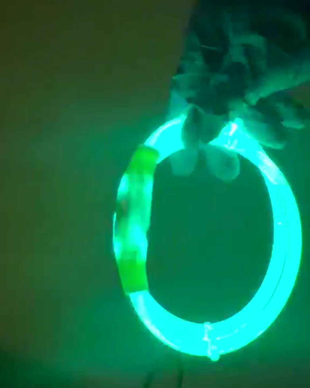 Collar LED Vlumo Glow iluminado de noche, vista completa