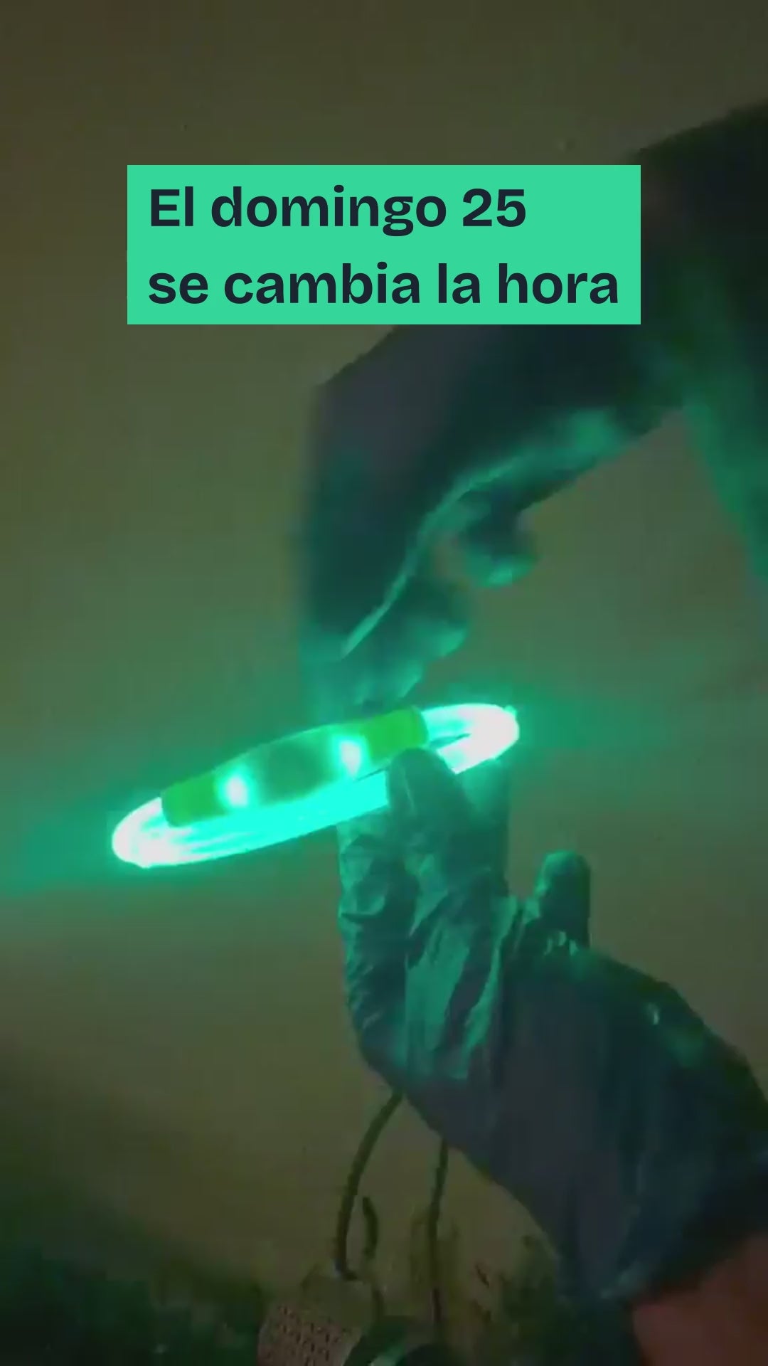 Vídeo: collar LED Vlumo Glow encendiéndose de noche y visible desde lejos